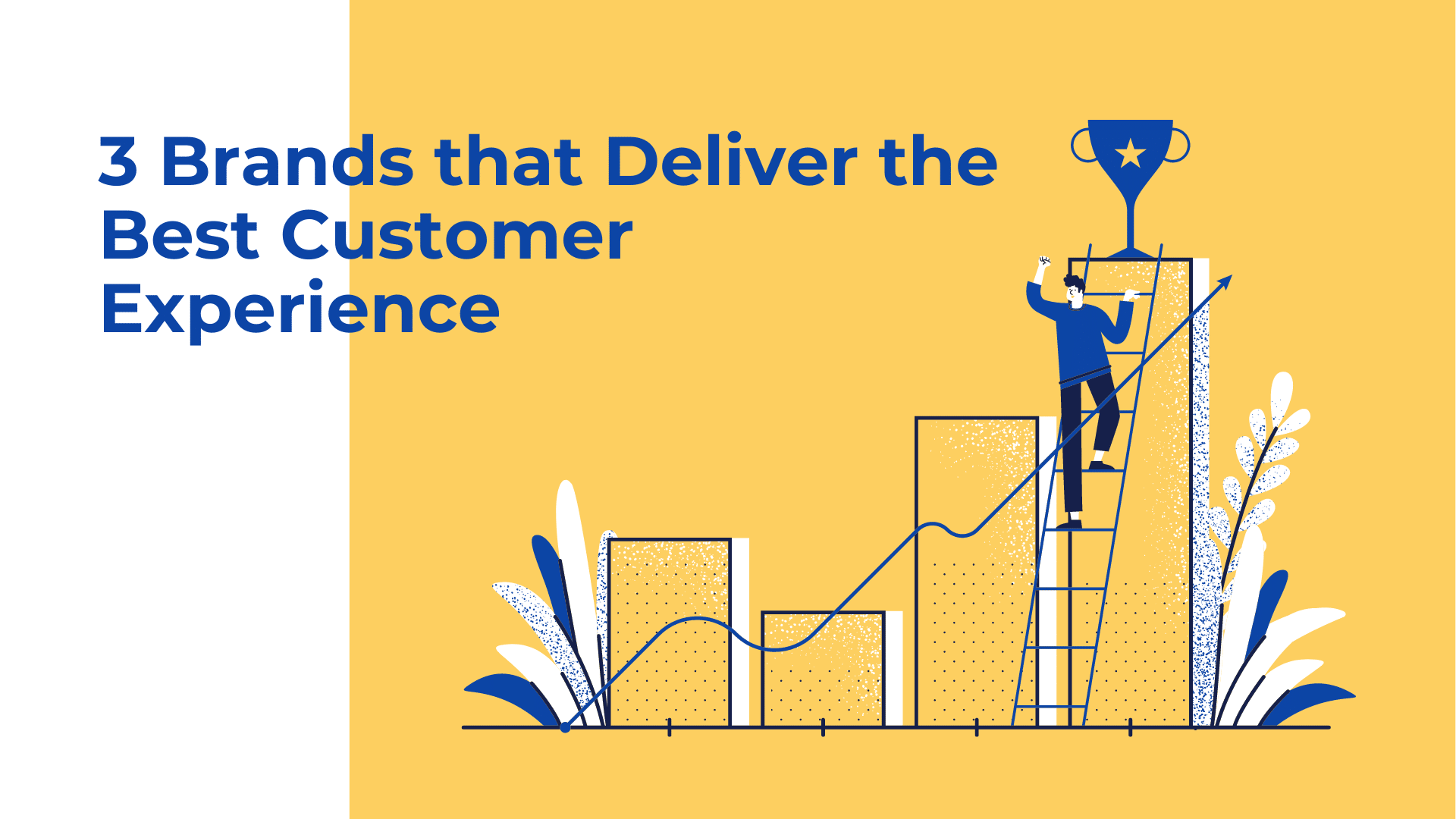 3 Brands that Deliver the Best Customer Experience