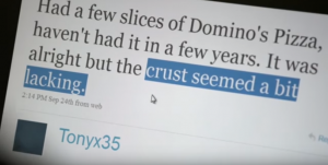 Dominoes Case Study - social media monitoring